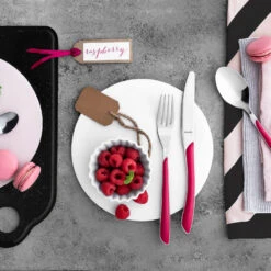 Amefa Bestekset Eclat 24 Delig Raspberry -Home-Keuken 102 4899 3 1